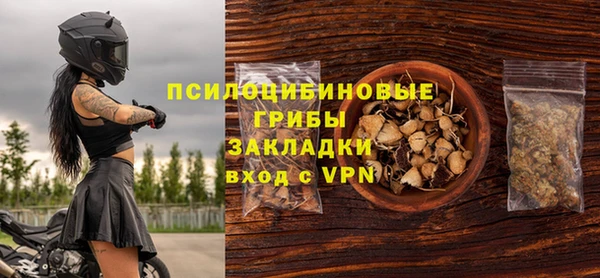 дурь Бородино