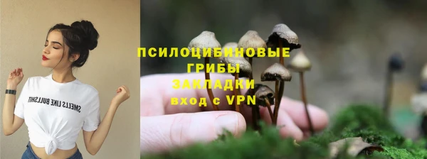 дурь Богданович