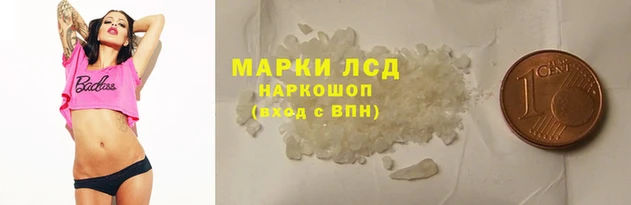 дурь Бородино
