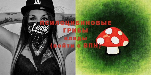 дурь Богданович