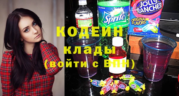 дурь Бородино
