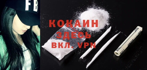 дурь Бородино