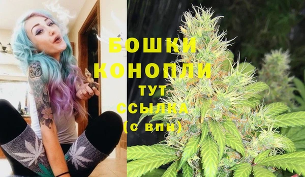дурь Богданович