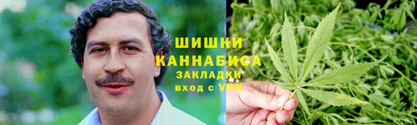 МДПВ Бронницы